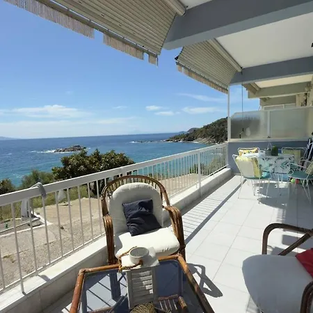 Sea Magic Americano *